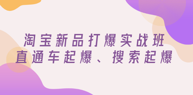 【副业项目3372期】淘宝新品打爆实战班（淘宝店铺如何增加流量和访客）-火花副业网