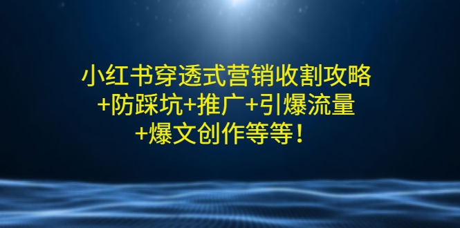 【副业项目3458期】小红书穿透式营销收割攻略+防踩坑+推广+引爆流量+爆文创作（小红书的营销方法策略）-火花副业网