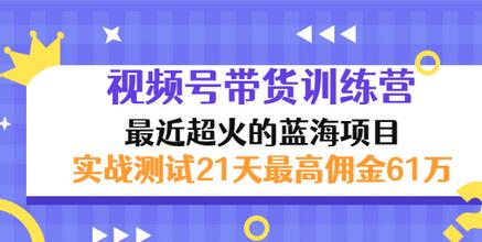 【副业项目3489期】视频号带货训练营，实战测试21天最高佣金61W（视频号带货怎么做）-火花副业网