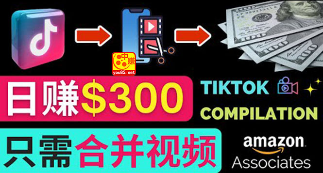 【副业项目3813期】搬运Tiktok短视频到Youtube赚钱，只需下载，合并视频，日赚300美元-火花副业网