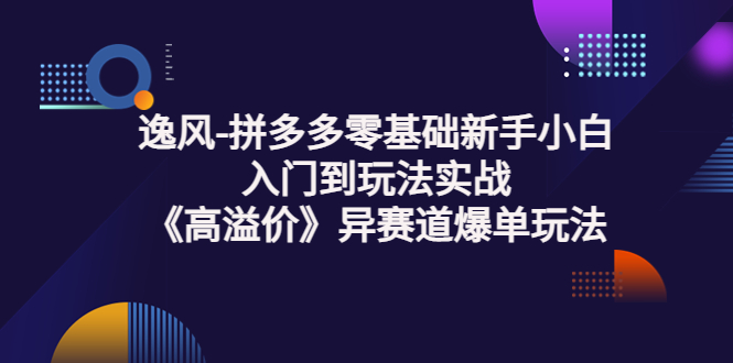 【副业项目3877期】逸风-拼多多新手小白入门到玩法实战，异赛道爆单玩法实操课-火花副业网