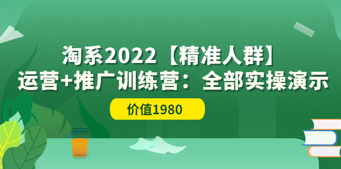 【副业项目3941期】淘系2022【精准人群】运营+推广训练营：全部实操演示-火花副业网