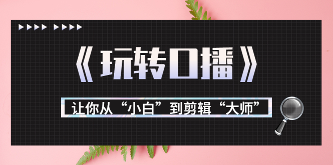 【副业项目3987期】月营业额700万+大佬教您《玩转口播》让你从“小白”到剪辑“大师”-火花副业网