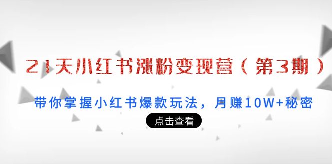 【副业项目4158期】21天小红书涨粉变现营（第3期）：带你掌握小红书爆款玩法，月赚10W+秘密-火花副业网