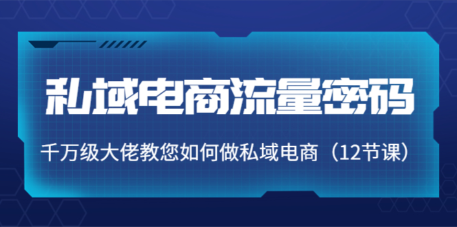 【副业项目4297期】私域电商流量密码：千万级大佬教您如何做私域电商（12节课）-火花副业网