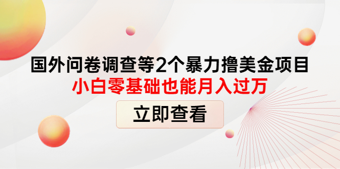 【副业项目4372期】国外问卷调查等2个暴力撸美金项目，小白零基础也能月入过万-火花副业网