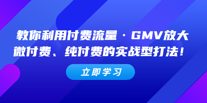 【副业项目5265期】教你利用付费流量·GMV放大，微付费、纯付费的实战型打法-火花副业网