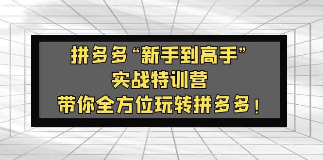 【副业项目5317期】拼多多“新手到高手”实战特训营：带你全方位玩转拼多多-火花副业网