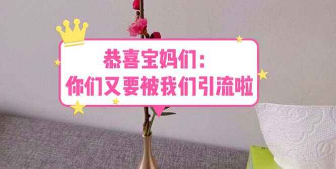 【副业项目5918期】恭喜宝妈们：你们又要被我们引流了（教程+222g资料）-火花副业网