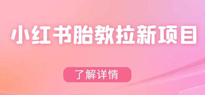 【副业项目6099期】小红书胎教网盘拉新项目，可在私域变现两次（作品制作教程+素材）-火花副业网