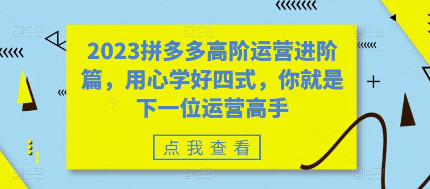 【副业项目6241期】2023拼多多高阶运营进阶篇，用心学好四式，你就是下一位运营高手-火花副业网