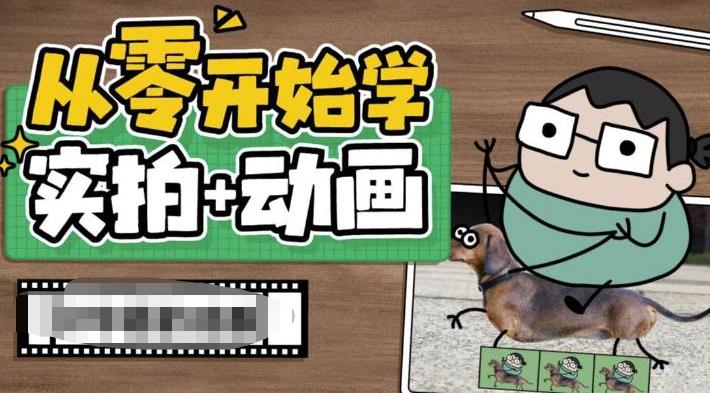 【副业项目6738期】从零开始学实拍加动画，实拍加动画创意教程（49节视频课）-火花副业网