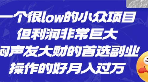 【副业项目6782期】一个很low的小众项目，但利润非常巨大，闷声发大财的首选副业，月入过万-火花副业网