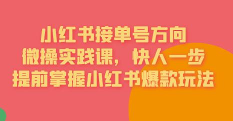 【副业项目6820期】接单号方向·小红书微操实践课，快人一步，提前掌握小红书爆款玩法-火花副业网