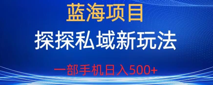 【副业项目6894期】蓝海项目，探探私域新玩法，一部手机日入500+很轻松【揭秘】-火花副业网