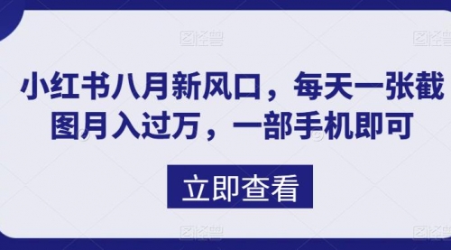 【副业项目7078期】八月新风口，小红书虚拟项目一天收入1000+-火花副业网