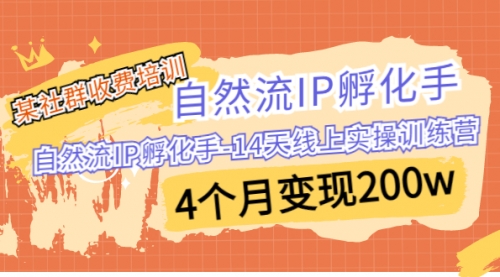 【副业项目7109期】自然流IP孵化手-14天线上实操训练营 4个月变现200w-火花副业网