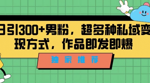 【副业项目7191期】独家推荐！日引300+男粉，超多种私域变现方式-火花副业网