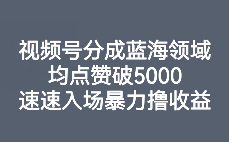 【副业项目8023期】视频号分成蓝海领域，均点赞破5000，速速入场暴力撸收益-火花副业网