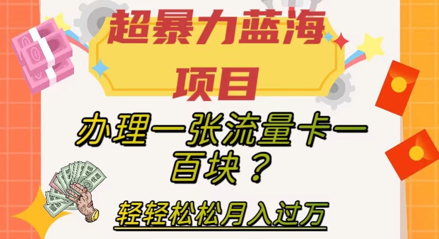 【副业项目8024期】超暴力蓝海项目，办理一张流量卡一百块？轻轻松松月入过万，保姆级教程【揭秘】-火花副业网