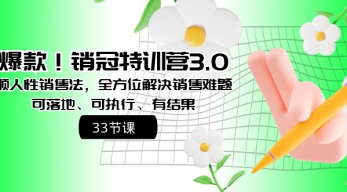 【副业8705期】销冠特训营3.0之顺人性销售法，全方位解决销售难题、可落地-火花副业网