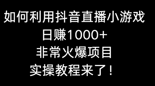 【副业8921期】如何利用抖音直播小游戏日赚1000+，非常火爆项目，实操教程来了！-火花副业网