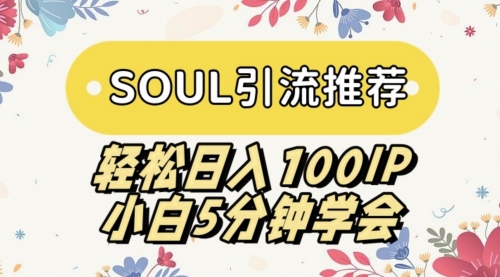 【副业9006期】SOUL引流推荐 轻松日入100IP 小白5分钟学会-火花副业网