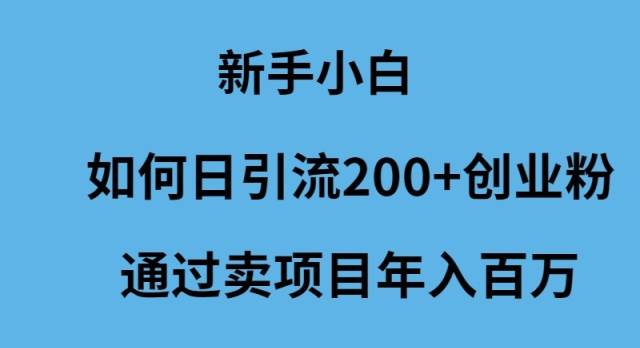 新手小白如何日引流200+创业粉通过卖项目年入百万-火花副业网