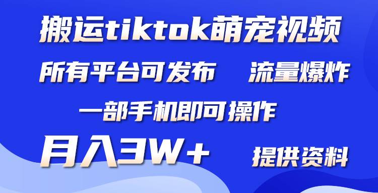 搬运Tiktok萌宠类视频，一部手机即可。所有短视频平台均可操作，月入3W+-火花副业网