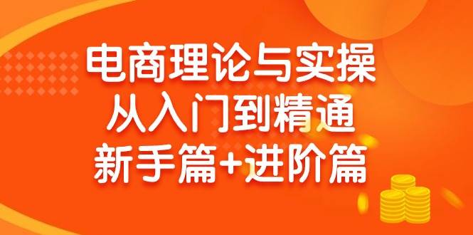 电商理论与实操从入门到精通 新手篇+进阶篇-火花副业网