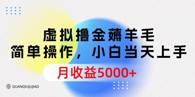 虚拟撸金薅羊毛，简单操作，小白当天上手，月收益5000+-火花副业网