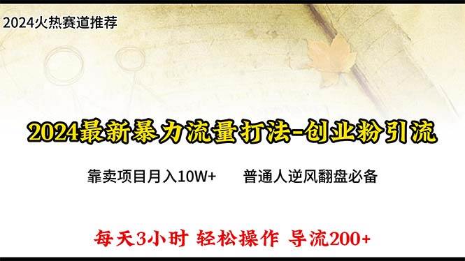 2024年最新暴力流量打法，每日导入300+，靠卖项目月入10W+-火花副业网