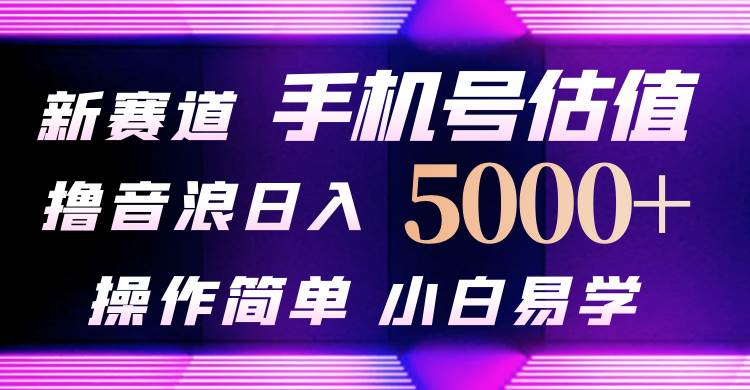 抖音不出境直播【手机号估值】最新撸音浪，日入5000+，简单易学，适合…-火花副业网