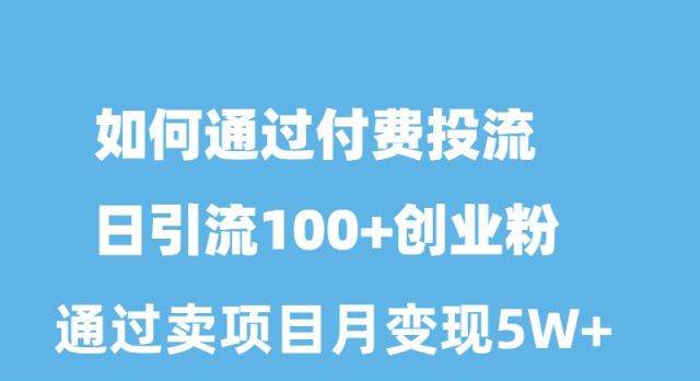 如何通过付费投流日引流100+创业粉月变现5W+-火花副业网