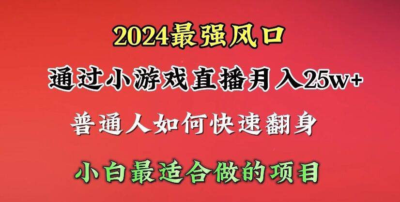 2024年最强风口，通过小游戏直播月入25w+单日收益5000+小白最适合做的项目-火花副业网