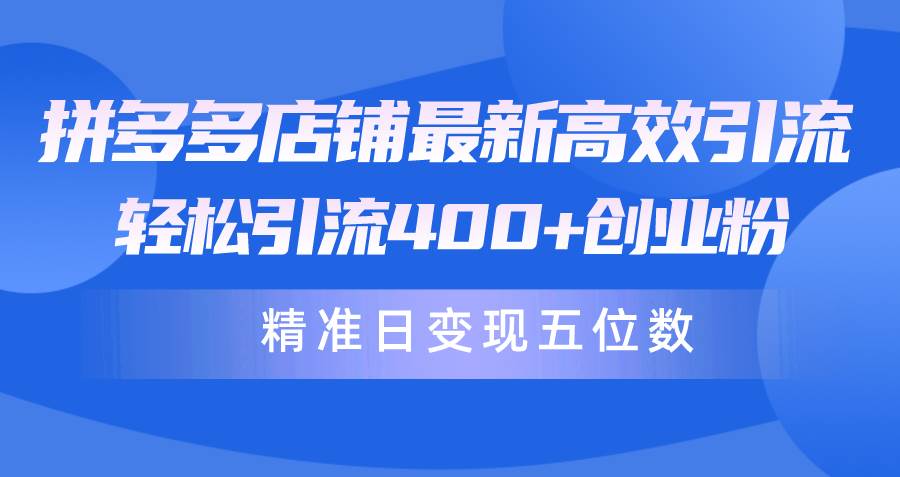 拼多多店铺最新高效引流术，轻松引流400+创业粉，精准日变现五位数！-火花副业网