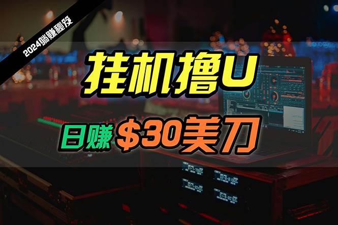 日赚30美刀，2024最新海外挂机撸U内部项目，全程无人值守，可批量放大-火花副业网