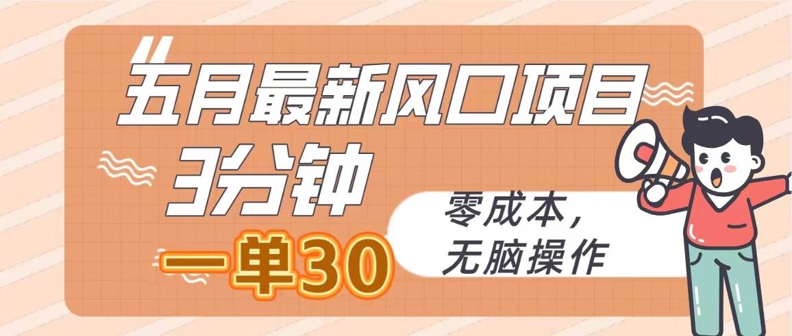 五月最新风口项目，3分钟一单30，零成本，无脑操作-火花副业网