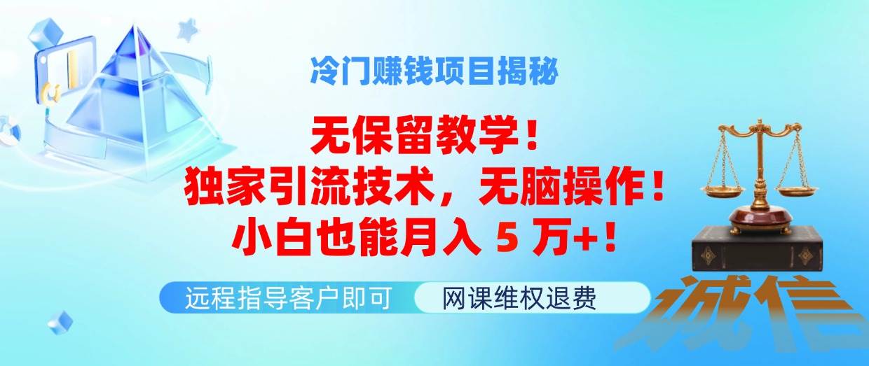 冷门赚钱项目无保留教学！独家引流技术，无脑操作！小白也能月入5万+！-火花副业网