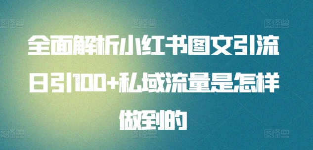 暴力引流 小红书图文引流日引100私域全面拆解【打粉人必看】-火花副业网