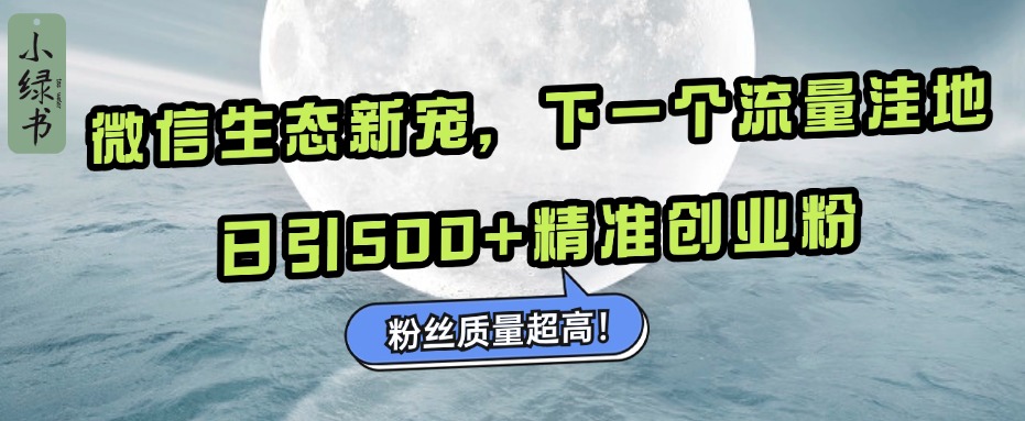 微信生态新宠小绿书：下一个流量洼地，粉丝质量超高，日引500+精准创业粉，-火花副业网