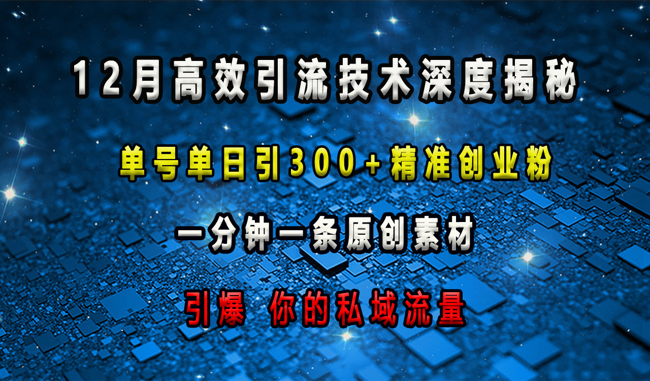 12月高效引流技术深度揭秘 ，单号单日引300+精准创业粉，一分钟一条原创素材，引爆你的私域流量-火花副业网