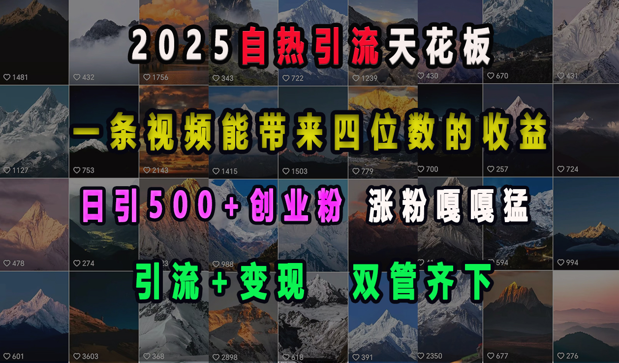 2025自热引流天花板，一条视频能带来四位数的收益，引流+变现双管齐下，日引500+创业粉，涨粉嘎嘎猛-火花副业网