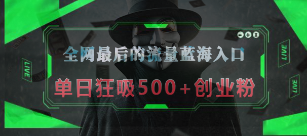 全网最后的流量蓝海入口，半小时引流50+创业粉，单日狂吸500+创业粉-火花副业网