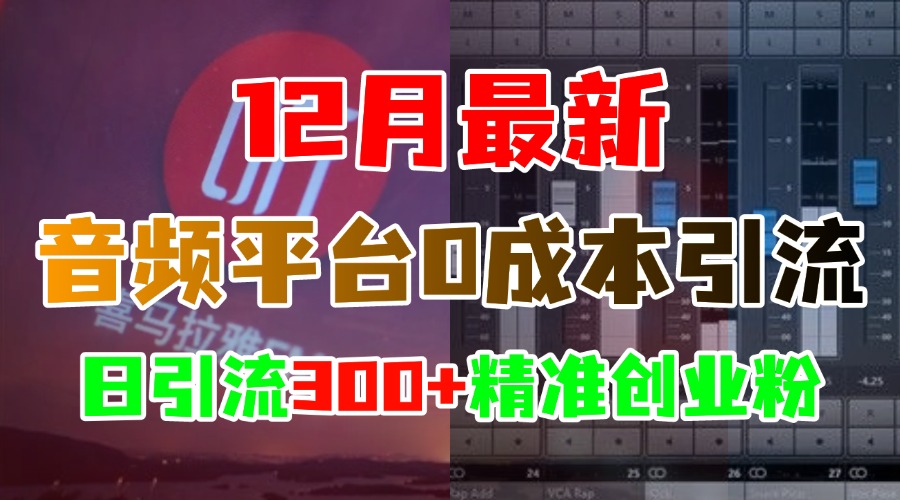 12月最新：音频平台0成本引流，日引300+精准创业粉-火花副业网