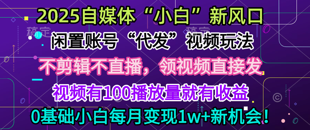 2025每月躺赚5w+新机会，闲置视频账号一键代发玩法，0粉不实名不剪辑，领了视频直接发，0基础小白也能日入300+-火花副业网