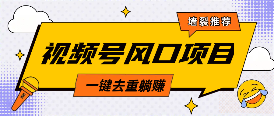 视频号风口蓝海项目，中老年人的流量密码，简单无脑，一键去重，轻松月入过万-火花副业网